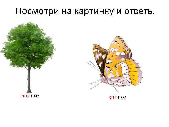 Посмотри на картинку и ответь. ЧТО ЭТО? КТО ЭТО? 