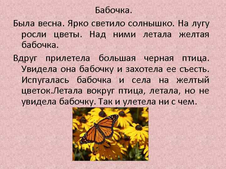 Бабочка. Была весна. Ярко светило солнышко. На лугу росли цветы. Над ними летала желтая