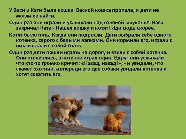 У Васи и Кати была кошка. Весной кошка пропала, и дети не могли ее