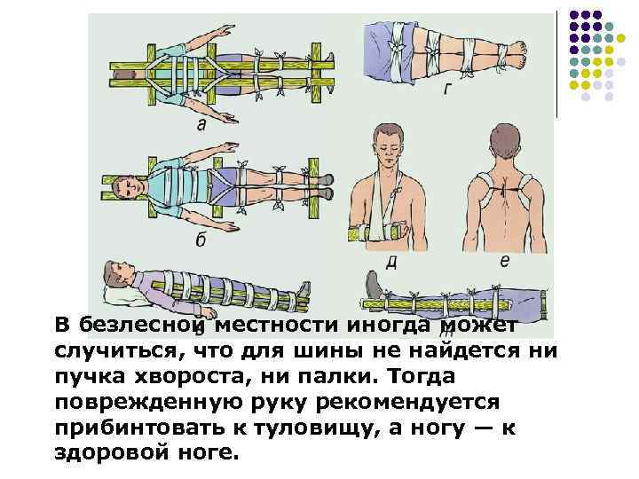 В безлесной местности иногда может случиться, что для шины не найдется ни пучка хвороста,