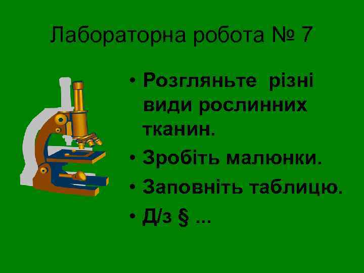 Лабораторна робота № 7 • Розгляньте різні види рослинних тканин. • Зробіть малюнки. •