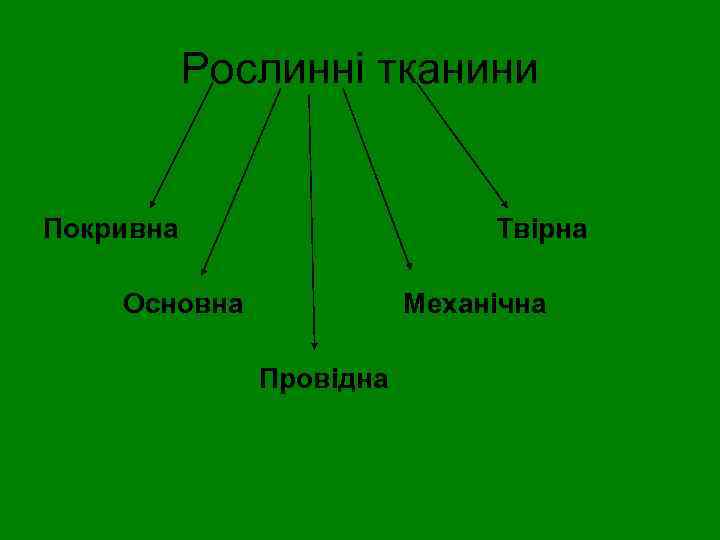 Рослинні тканини Покривна Твірна Основна Механічна Провідна 