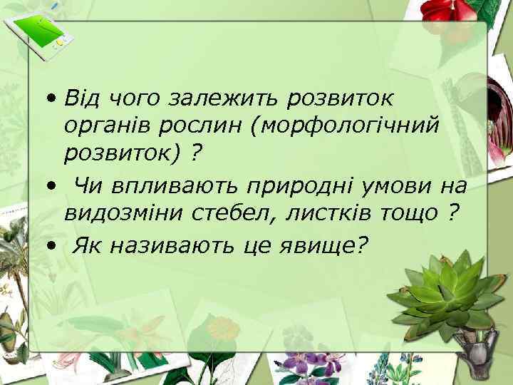  • Від чого залежить розвиток органів рослин (морфологічний розвиток) ? • Чи впливають