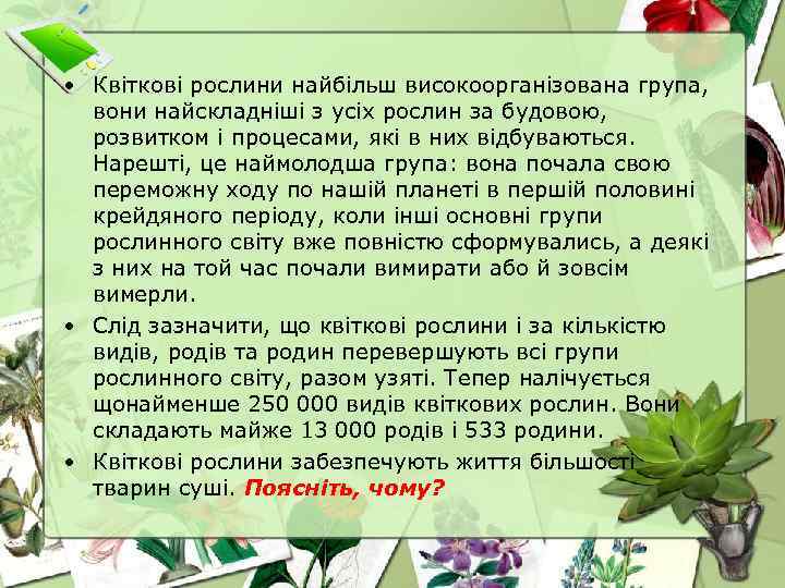  • Квіткові рослини найбільш високоорганізована група, вони найскладніші з усіх рослин за будовою,