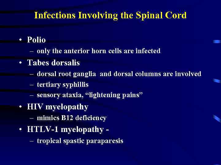 Infections Involving the Spinal Cord • Polio – only the anterior horn cells are