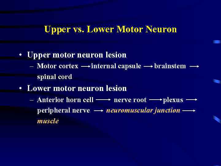 Upper vs. Lower Motor Neuron • Upper motor neuron lesion – Motor cortex spinal
