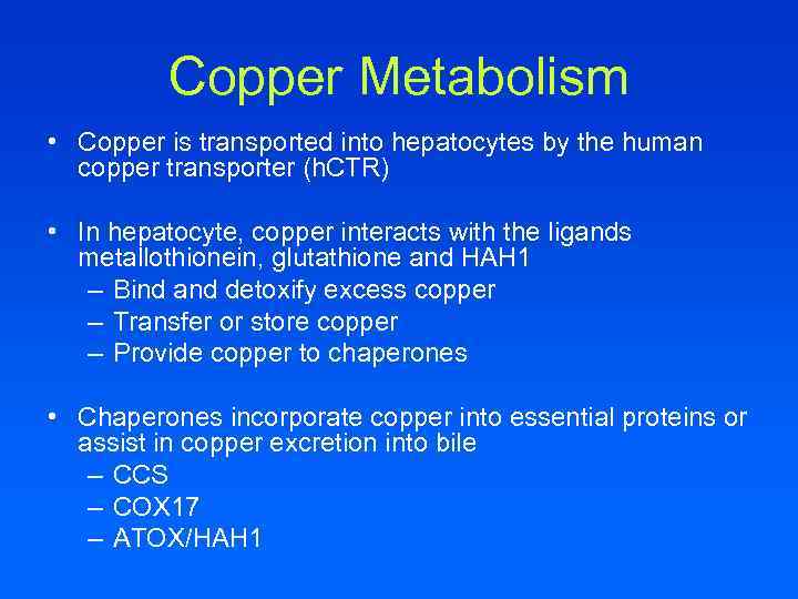Copper Metabolism • Copper is transported into hepatocytes by the human copper transporter (h.