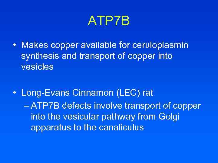 ATP 7 B • Makes copper available for ceruloplasmin synthesis and transport of copper