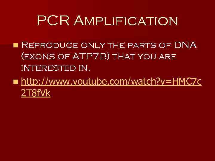 PCR Amplification n Reproduce only the parts of DNA (exons of ATP 7 B)