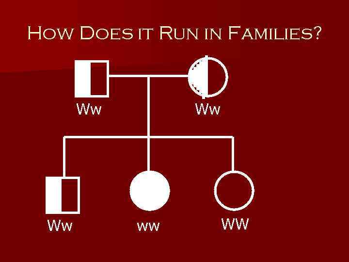 How Does it Run in Families? Ww Ww Ww ww WW 