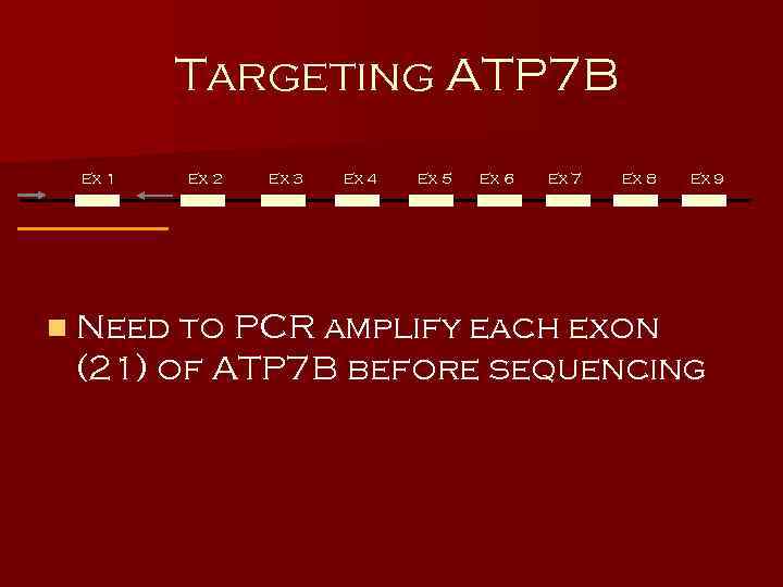 Targeting ATP 7 B Ex 1 Ex 2 Ex 3 Ex 4 Ex 5