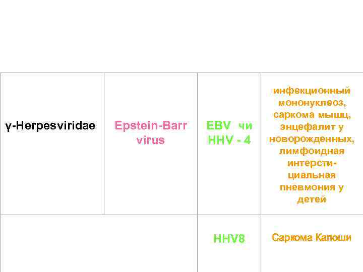 γ-Herpesviridae Epstein-Barr virus инфекционный мононуклеоз, саркома мышц, энцефалит у новорожденных, лимфоидная интерстициальная пневмония у