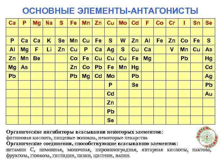 ОСНОВНЫЕ ЭЛЕМЕНТЫ-АНТАГОНИСТЫ Ca P P Mg Na Ca Ca Al Mg F S Fe
