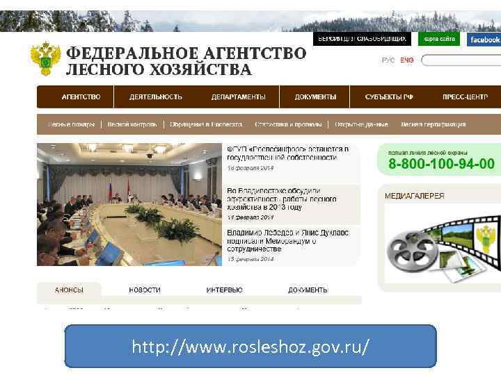 http: //www. rosleshoz. gov. ru/ 