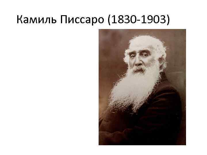 Камиль Писсаро (1830 -1903) 