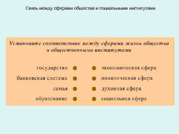 Связь между сферами общества и социальными институтами 