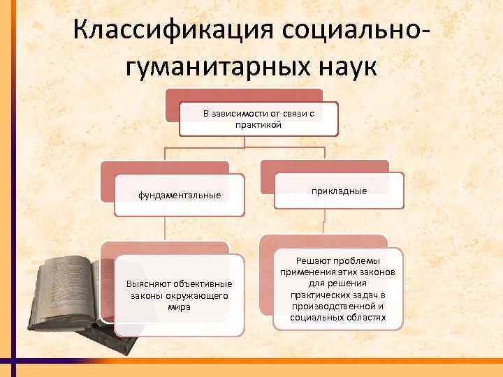 Классификация социально гуманитарных наук В зависимости от связи с практикой фундаментальные Выясняют объективные законы