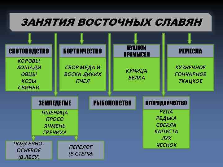 Заполните схему восточные славяне в древности