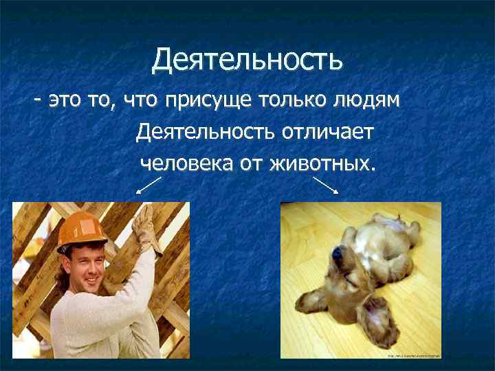 Деятельность - это то, что присуще только людям Деятельность отличает человека от животных. 