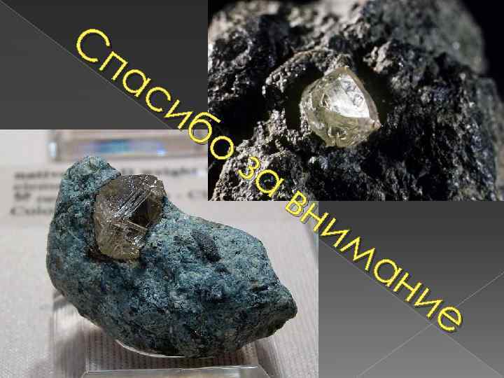 Сп ас иб о за вн им ан ие 