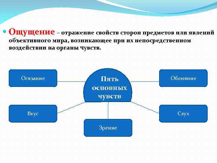 Ощущения отражающие свойства предметов и явлений. Ощущение отражение свойств сторон предмета.