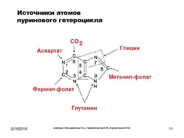 Источники атомов пуринового гетероцикла 2/16/2018 Авторы: Ельчанинова С. А. , Галактионова Л. П. ,