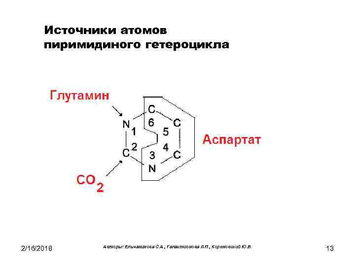 Источники атомов пиримидиного гетероцикла 2/16/2018 Авторы: Ельчанинова С. А. , Галактионова Л. П. ,