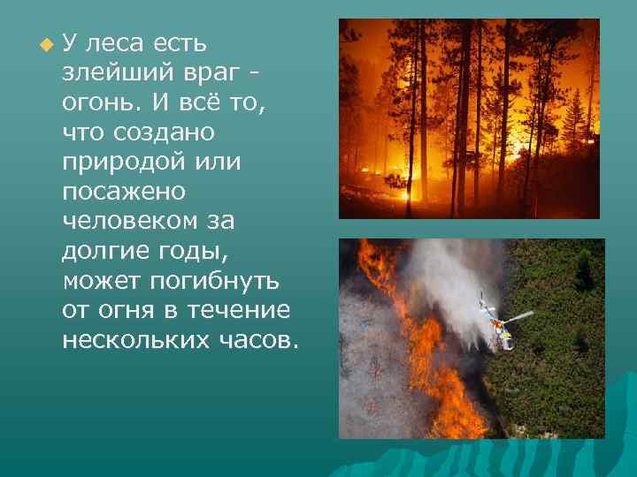  У леса есть злейший враг огонь. И всё то, что создано природой или