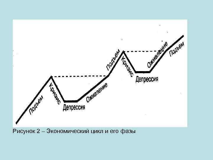Отметьте на схеме фазы экономического цикла