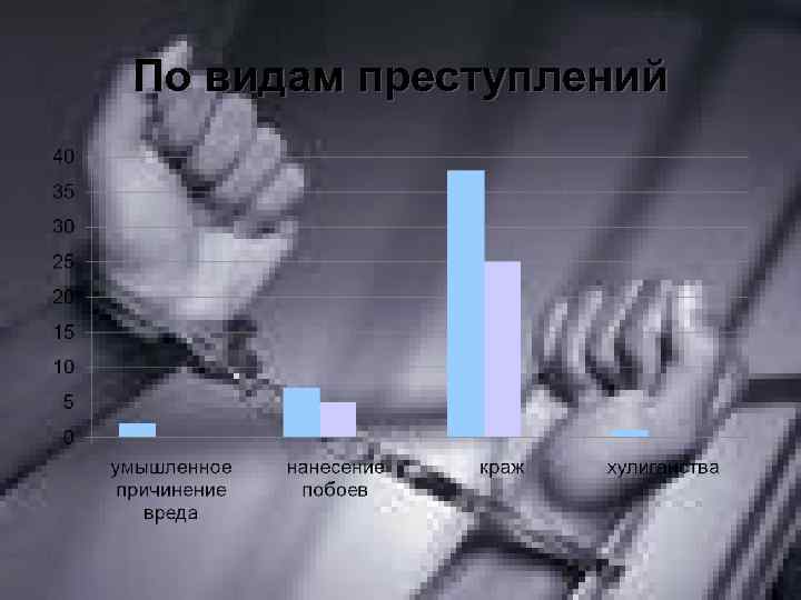По видам преступлений 