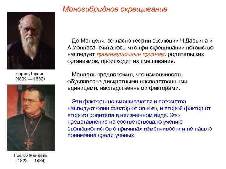 Моногибридное скрещивание До Менделя, согласно теории эволюции Ч. Дарвина и А. Уоллеса, считалось, что