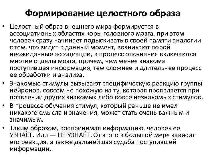 Формирование целостного образа • Целостный образ внешнего мира формируется в ассоциативных областях коры головного