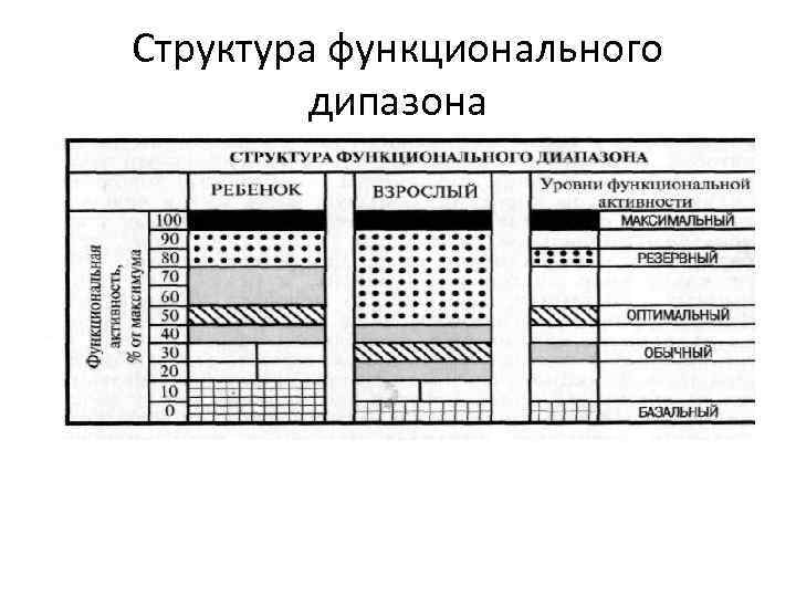 Структура функционального дипазона 