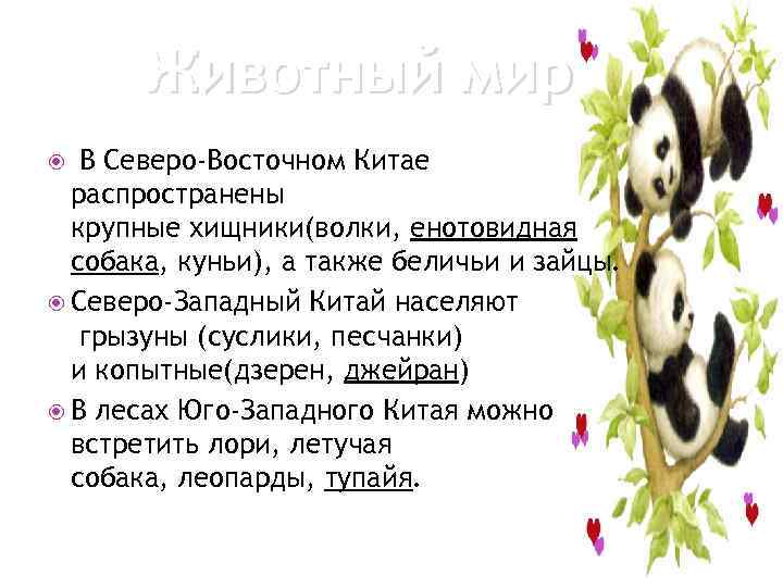 Животный мир В Северо-Восточном Китае распространены крупные хищники(волки, енотовидная собака, куньи), а также беличьи
