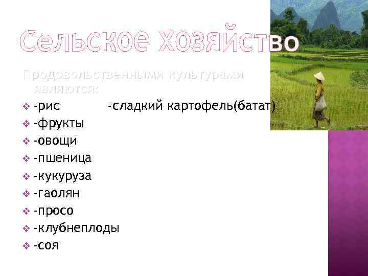 Продовольственными культурами являются: v -рис -сладкий картофель(батат) v -фрукты v -овощи v -пшеница v