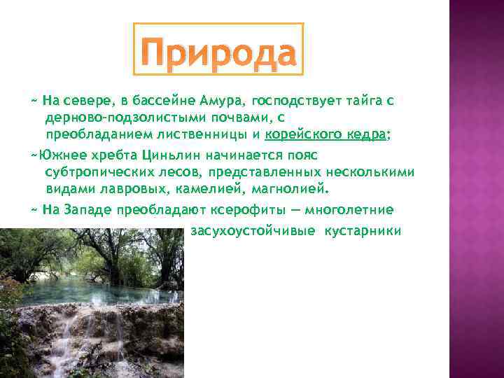 Природа ~ На севере, в бассейне Амура, господствует тайга с дерново-подзолистыми почвами, с преобладанием