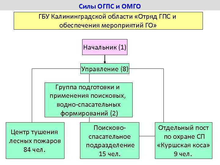 Силы ОГПС и ОМГО ГБУ Калининградской области «Отряд ГПС и обеспечения мероприятий ГО» Начальник