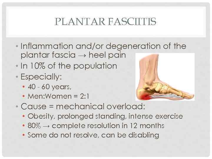 PLANTAR FASCIITIS • Inflammation and/or degeneration of the plantar fascia → heel pain •