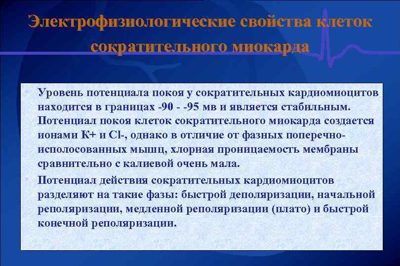 Электрофизиологические свойства клеток сократительного миокарда • Уровень потенциала покоя у сократительных кардиомиоцитов • находится