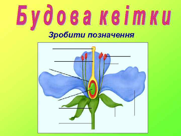 Зробити позначення 