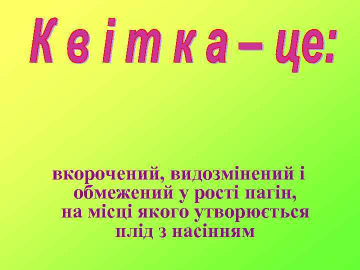 вкорочений, видозмінений і обмежений у рості пагін, на місці якого утворюється плід з насінням