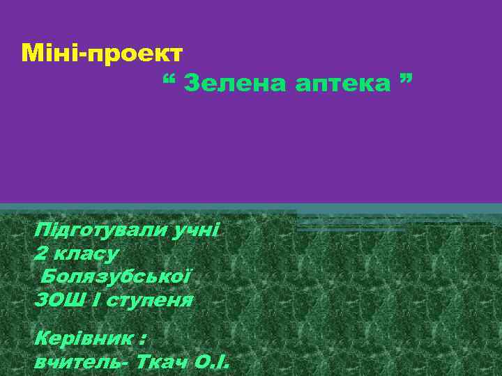 Міні проект “ Зелена аптека ” Підготували учні 2 класу Болязубської ЗОШ І ступеня