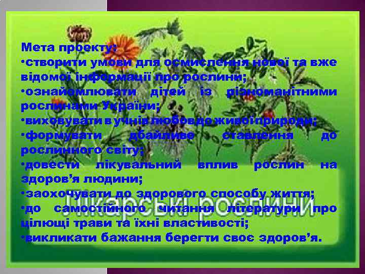 Мета проекту: • створити умови для осмислення нової та вже відомої інформації про рослини;