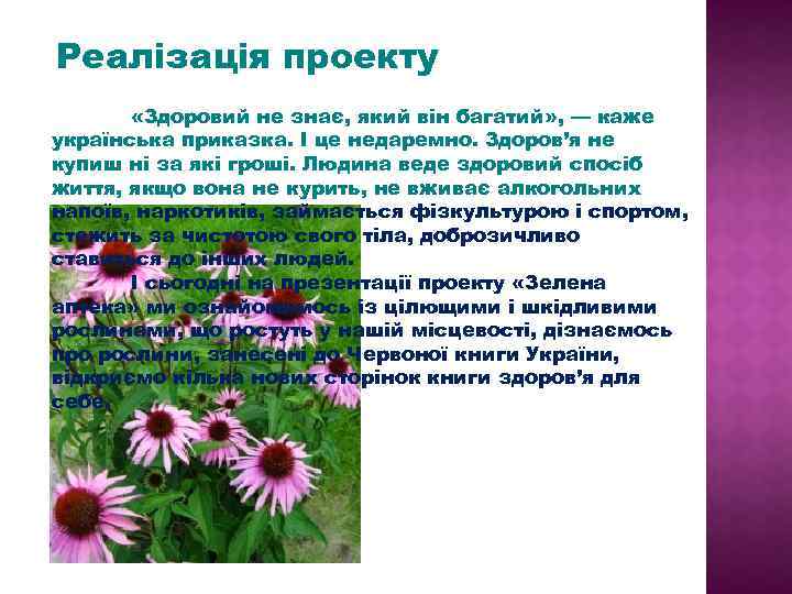 Реалізація проекту «Здоровий не знає, який він багатий» , — каже українська приказка. І