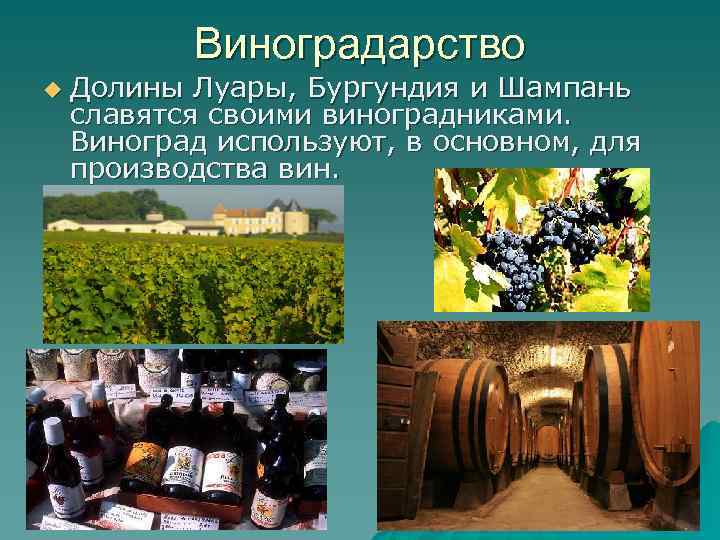 Виноградарство u Долины Луары, Бургундия и Шампань славятся своими виноградниками. Виноград используют, в основном,