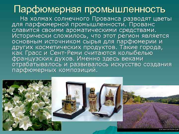 Парфюмерная промышленность На холмах солнечного Прованса разводят цветы для парфюмерной промышленности. Прованс славится своими