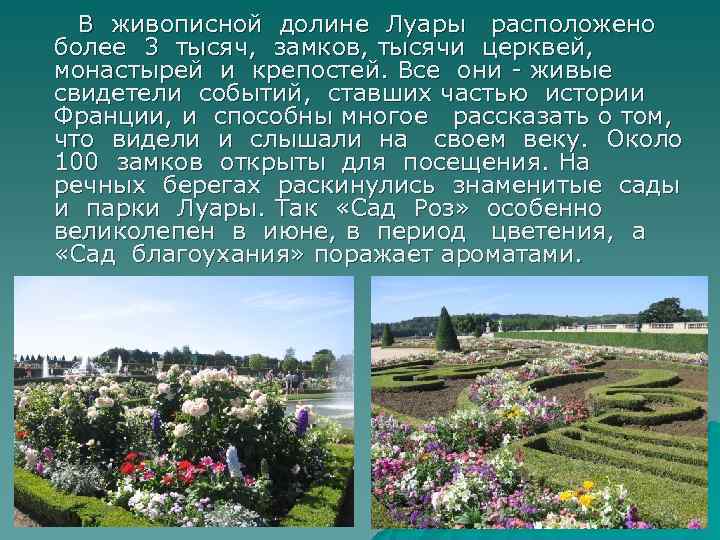  В живописной долине Луары расположено более 3 тысяч, замков, тысячи церквей, монастырей и