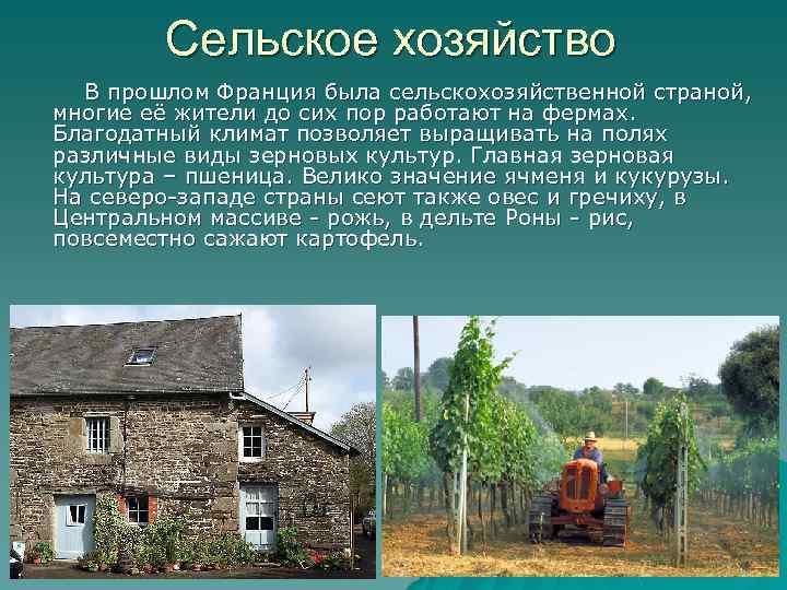 Сельское хозяйство В прошлом Франция была сельскохозяйственной страной, многие её жители до сих пор