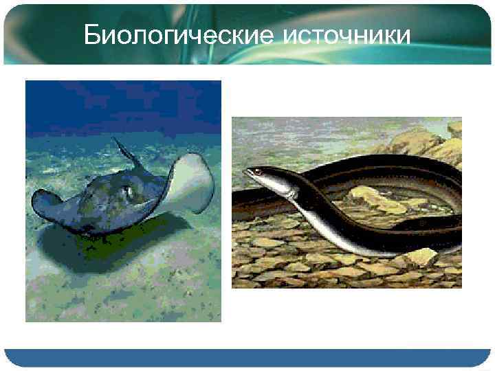 Биологические источники 