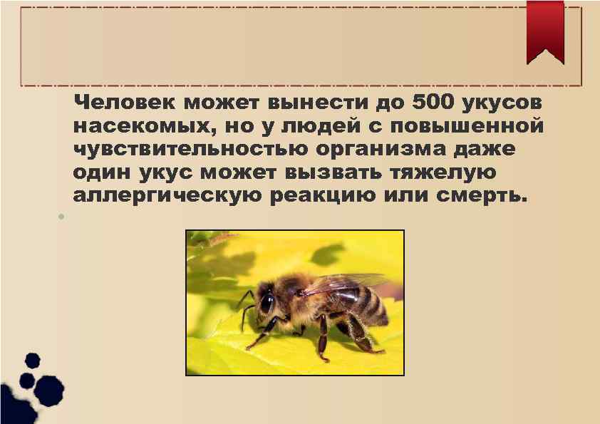 Укусы насекомых и защита от них